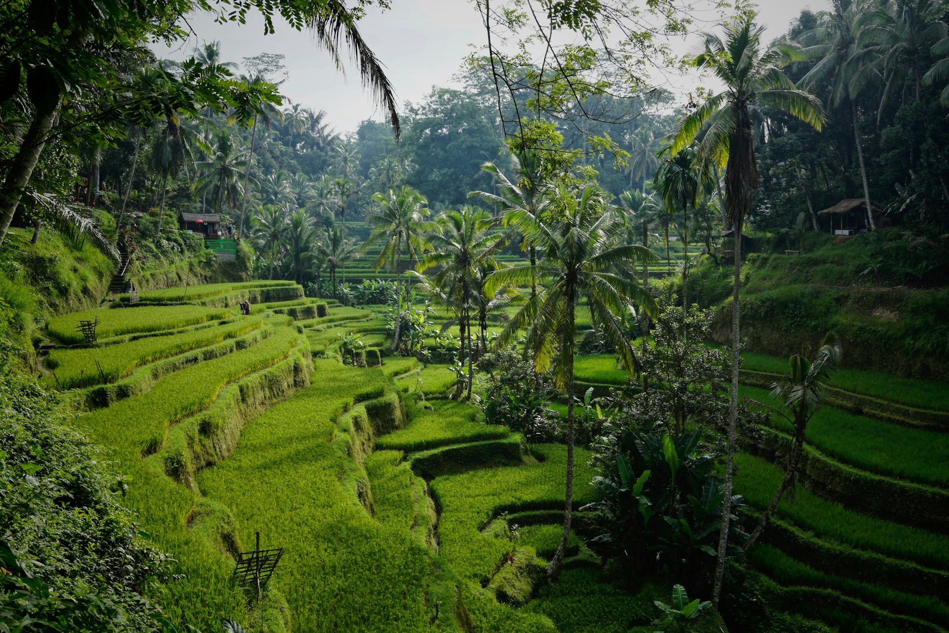 Temukan Kos Terbaik di Bali dengan Mudah